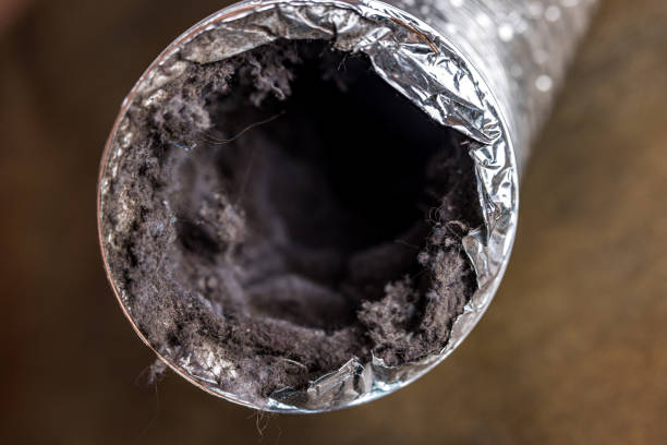 Best Home Air Vent Cleaning  in Valhalla, NY